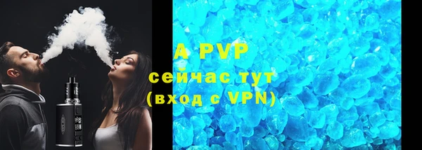 твердый Ростов