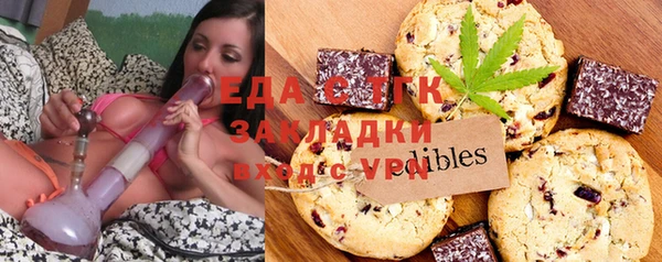 индика Россошь