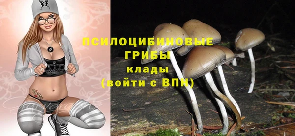 кокс Армянск