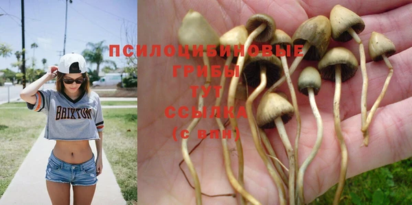индика Россошь